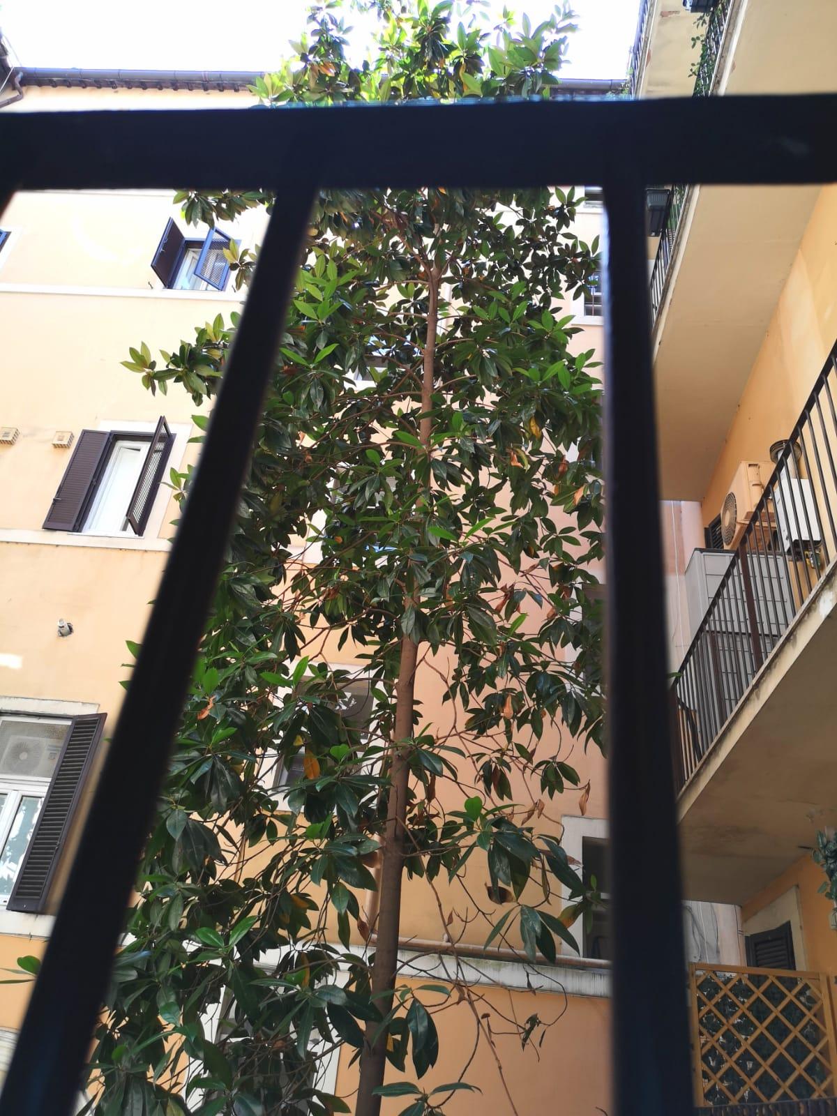 Hotel Dulcis In Pantheon à Rome Extérieur photo